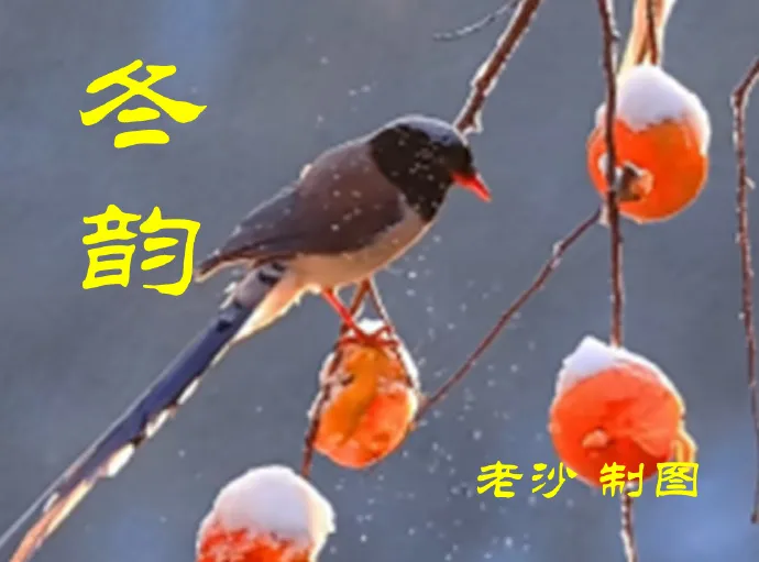 12.23股市早8点丨2026：五大胜算！