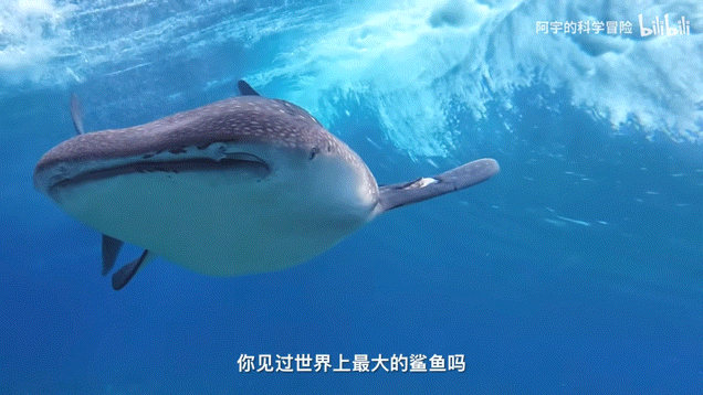 这届年轻人，为什么在B站写起“百字长评”？(2)