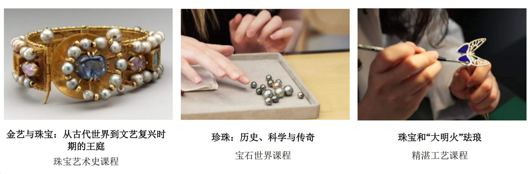 探秘宝石世界：L’ÉCOLE珠宝艺术嘉年华(2)
