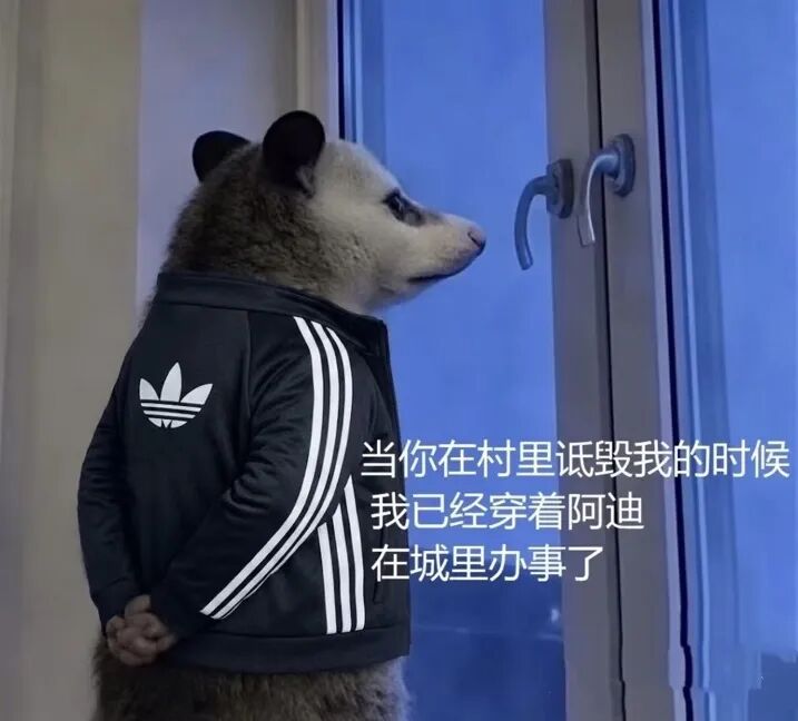 “进城办事”火了！官方接梗造爆款，每经记者实探阿迪达斯成都门店：定制T恤订单暴增4倍，还有人想印“进城不办事”